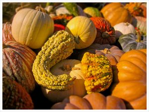 Squash Sunday Harbourview Church Esquimalt BC